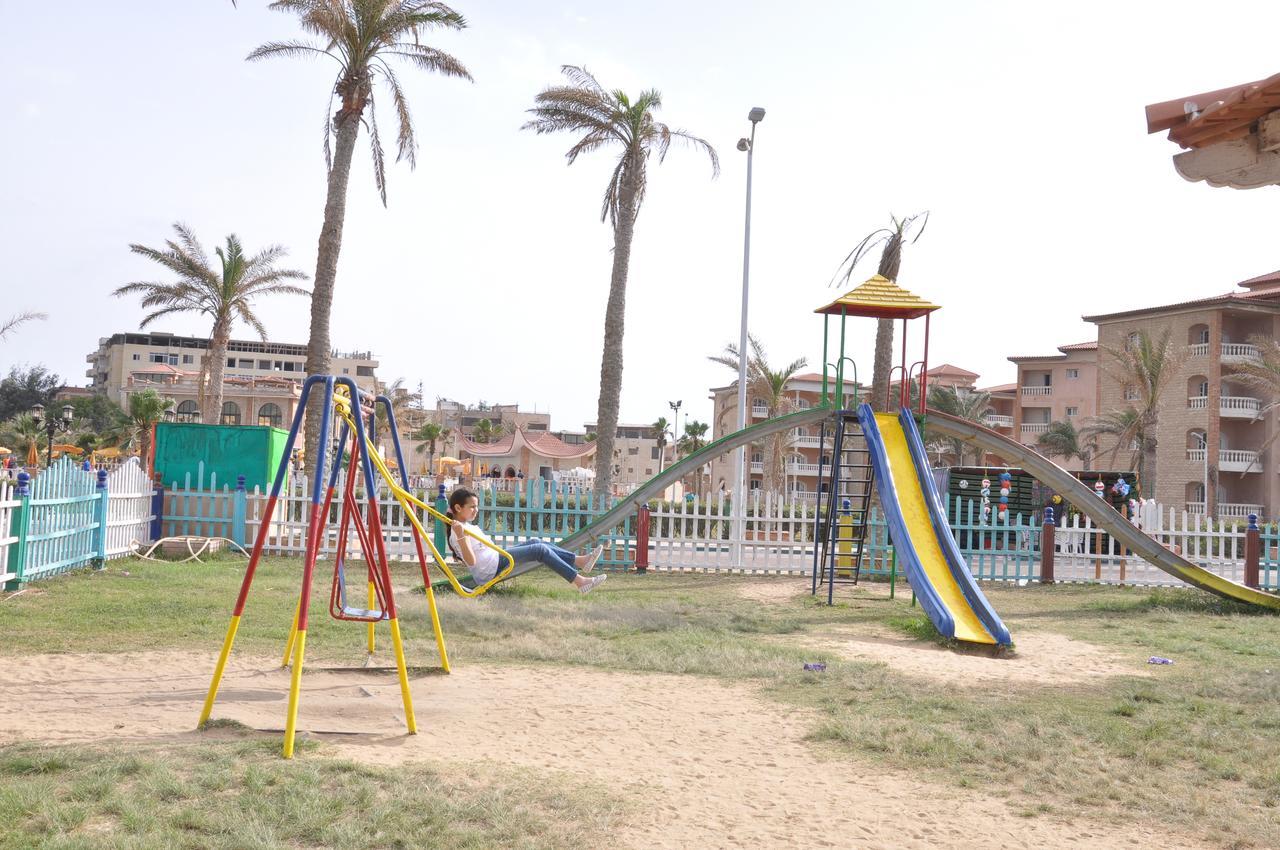 Ajami Armed Forces Alexandria