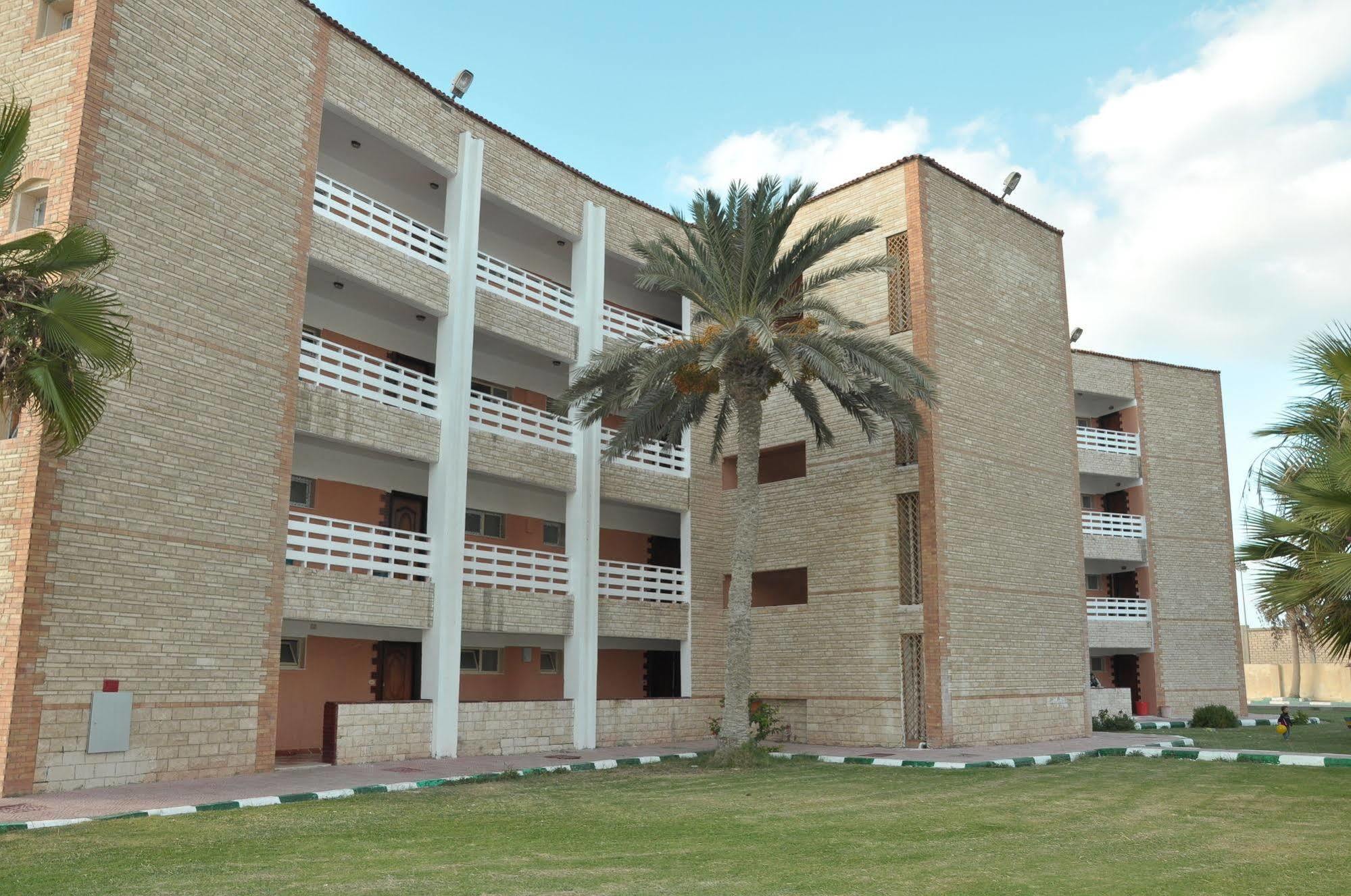 Ajami Armed Forces